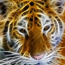 Quantastic