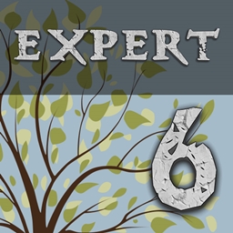 Enigmatica 6: Expert - E6E