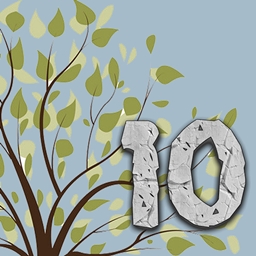 Enigmatica 10 - E10